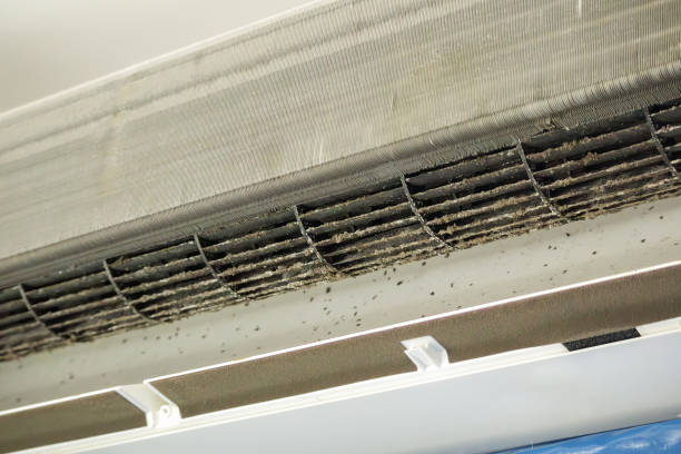 Best Affordable HVAC Duct Cleaning  in Follansbee, WV